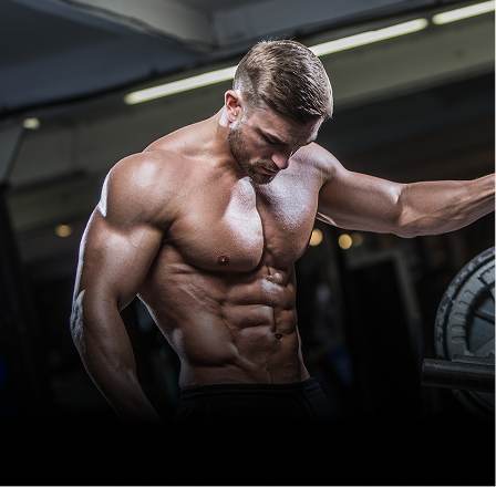 Build Muscle